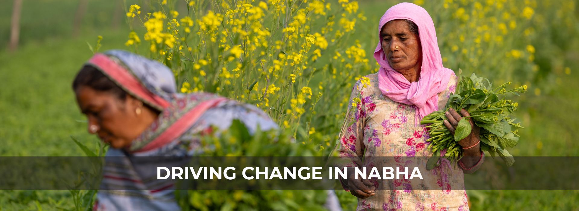 Nabha-homepage-banners-5